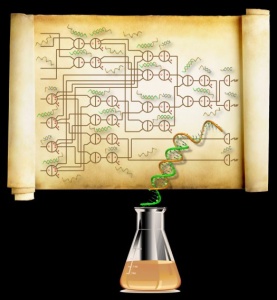 Computer basato su molecole di DNA.